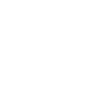 Asset 39