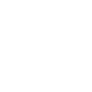 Asset 40