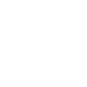 Asset 44